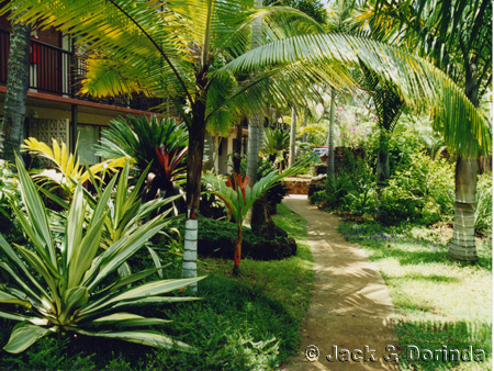 Prince Kuhio Garden Area