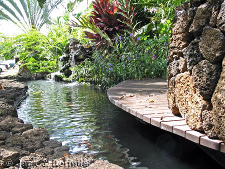 Prince Kuhio Garden Koa Pond