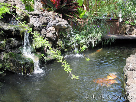 Prince Kuhio Garden pond 2