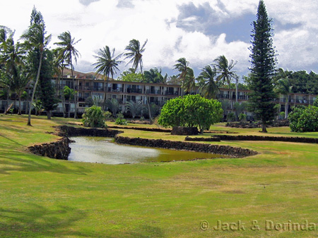 Prince Kuhio Park from East